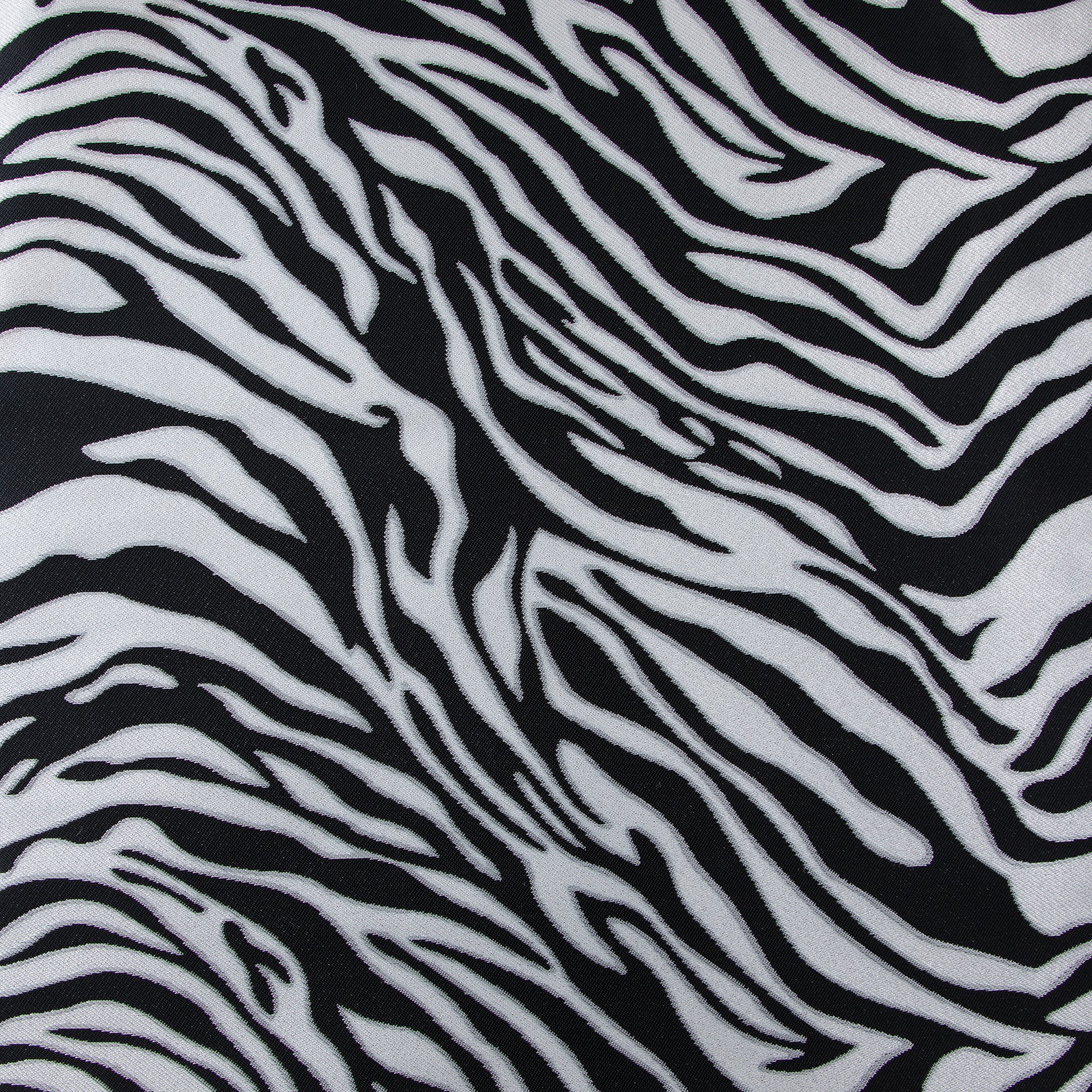 Zebra Brocade, Black & White