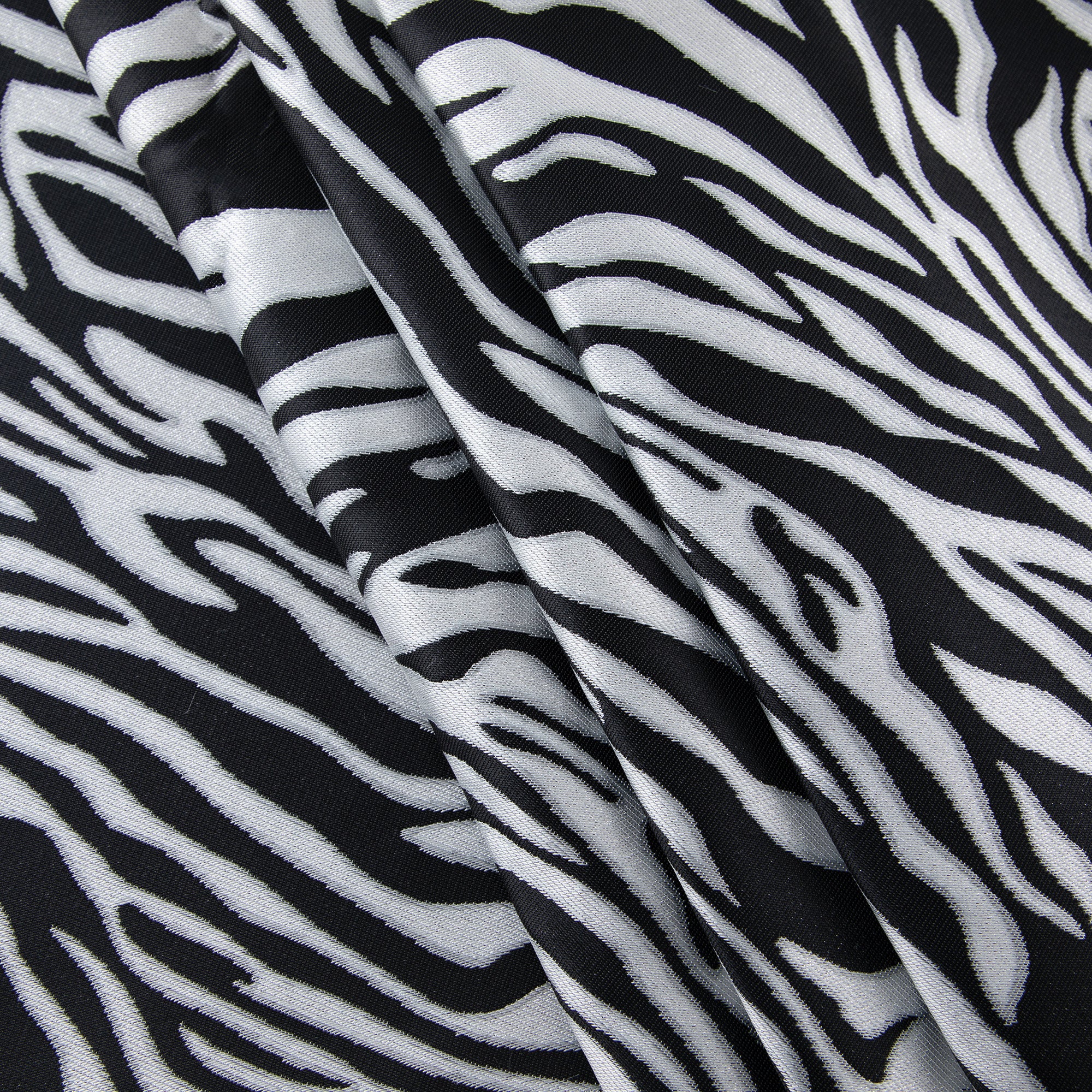 Zebra Brocade, Black & White