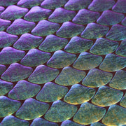 Yaya Han Collection Mermaid Oil Slick